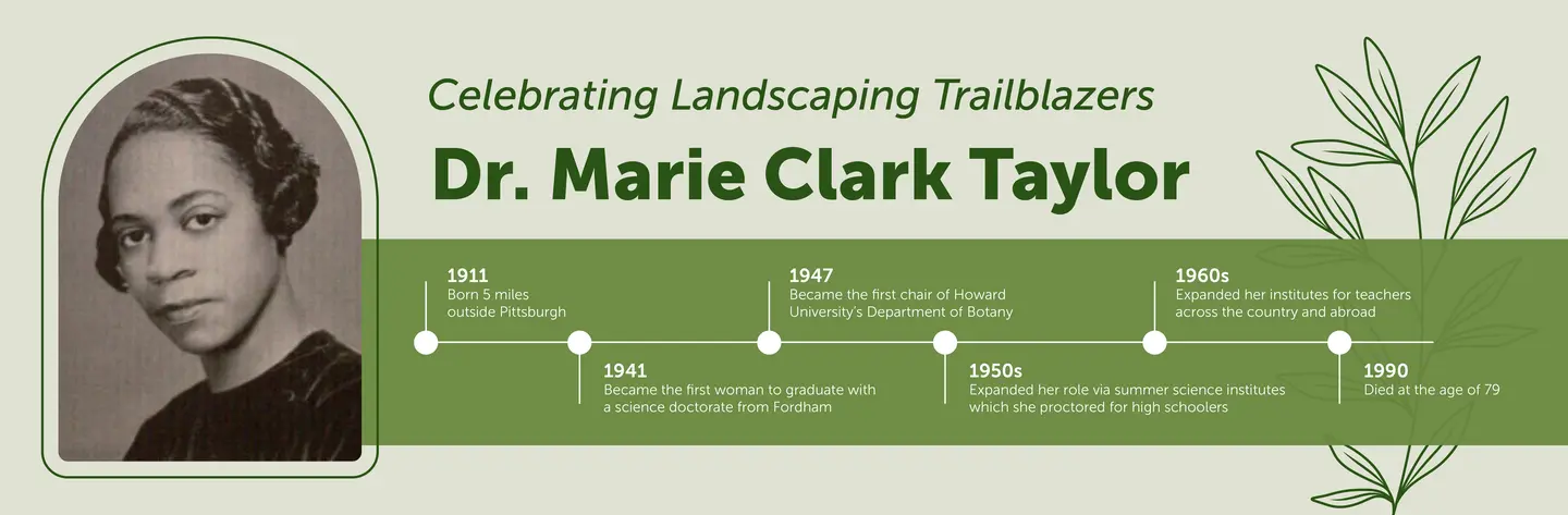 Marie Clark Taylor timeline